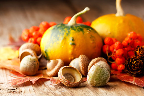 Stacks of Liquorice to Entice you this Halloween Stacks of Liquorice to Entice you this Halloween