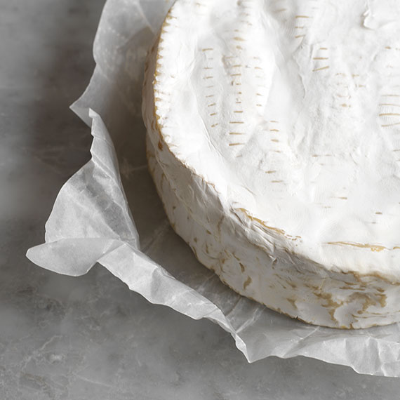 camembert